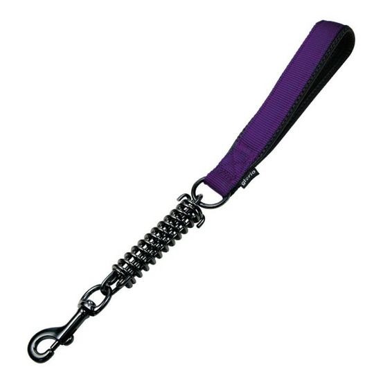 Laisse pour chien 41 cm violet
