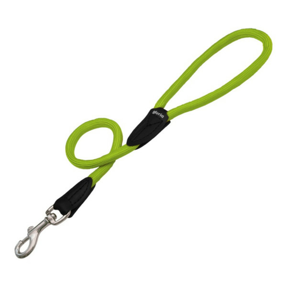Laisse pour chien 1.2 x 120 cm vert