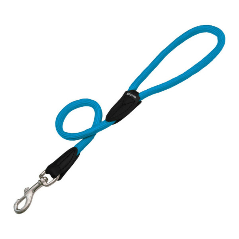 Laisse pour chien turquoise (1.2 x 60 cm)