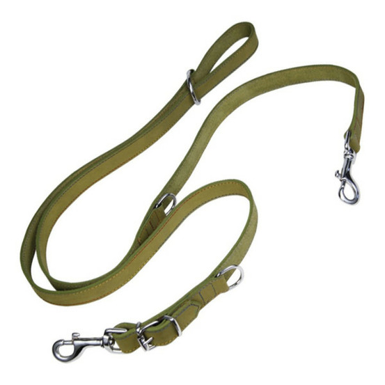 Laisse pour chien oasis multiple 2.1 x 200 cm vert