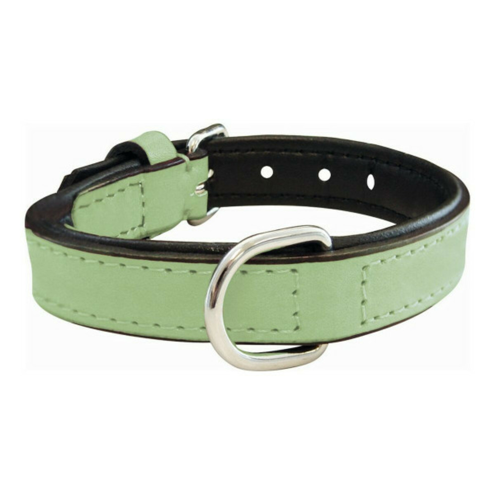 Collier pour chien rembourré vert (35 x 1,5 cm)