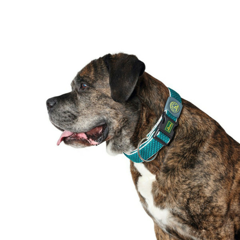 Collier pour chien plus fil turquoise turquoise taille xl (45-70 cm)