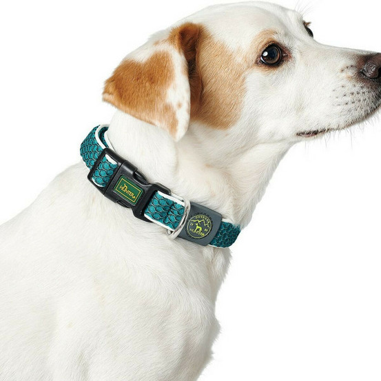 Collier pour chien basic fil taille m citron (33-50 cm)