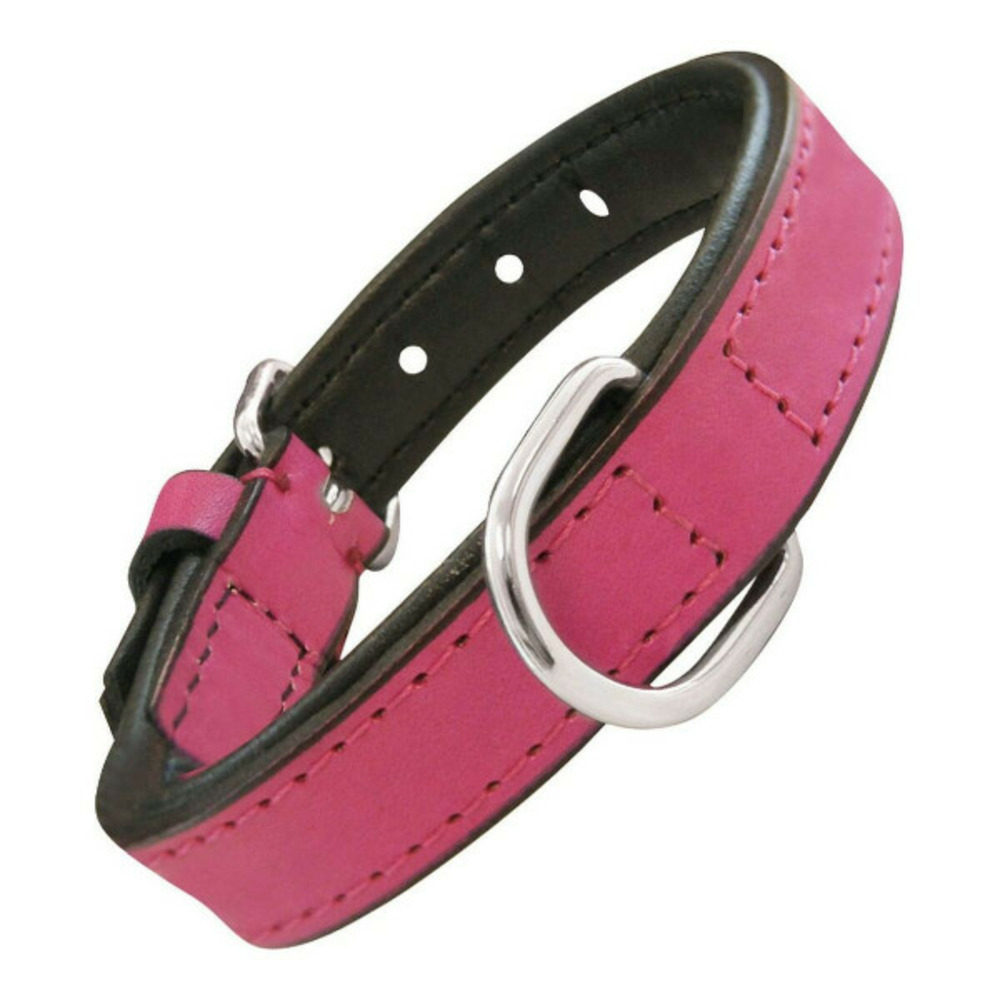 Collier pour chien rembourré fuchsia (35 x 1,5 cm)