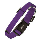 Collier pour chien  violet taille s (27-37 cm)