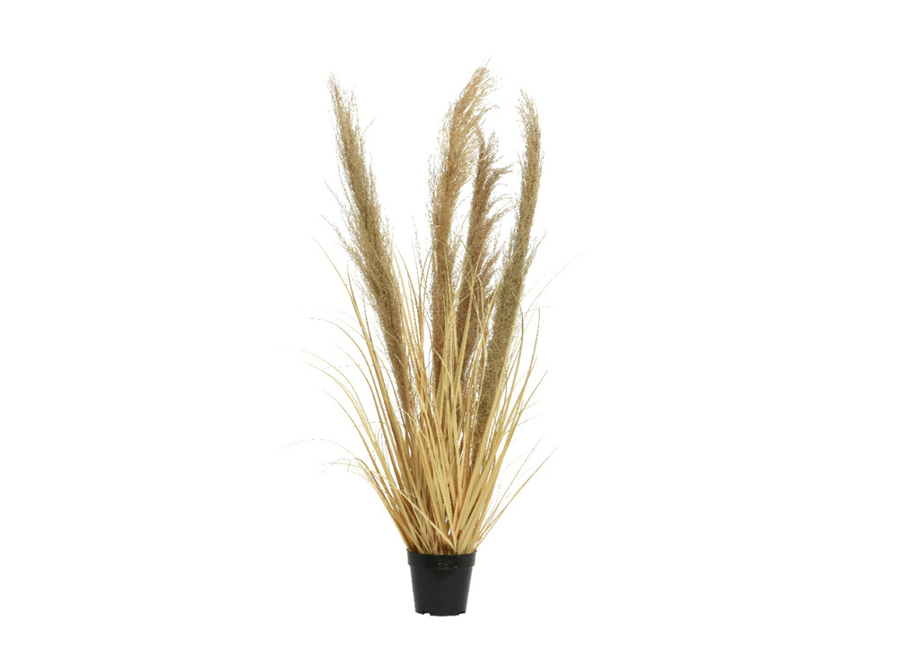 Herbe en pot pvc naturel ø 40 x 100 cm