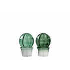 Set de 2 vases avec cactus en verre vert 10x10x15 cm
