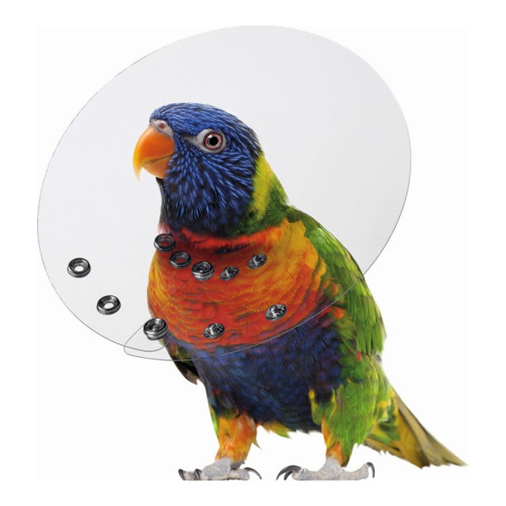 Sitemapcdatahttpshauscellcare1comtruffaut Oiseaux Prixnull