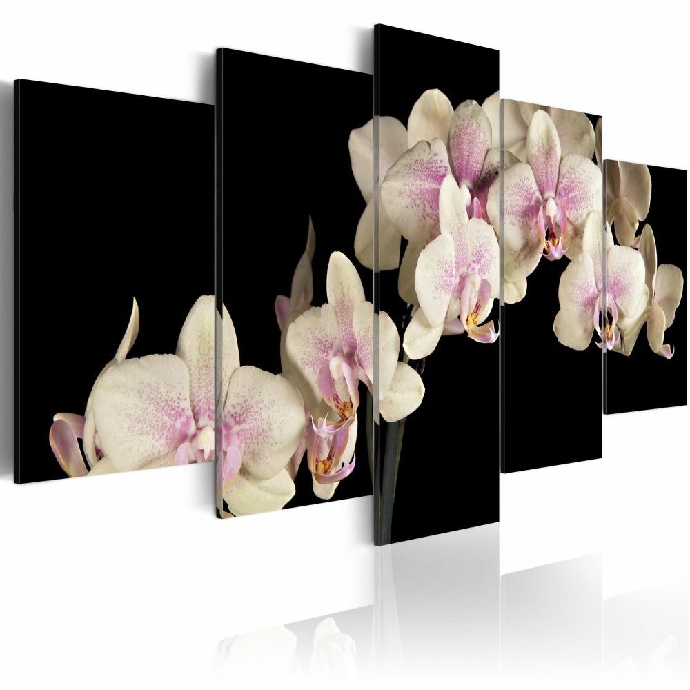 Tableau - orchidée sur fond contrasté 100x50 cm