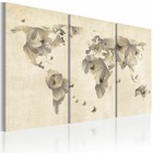Tableau - atlas des papillons - triptyque 60x40 cm