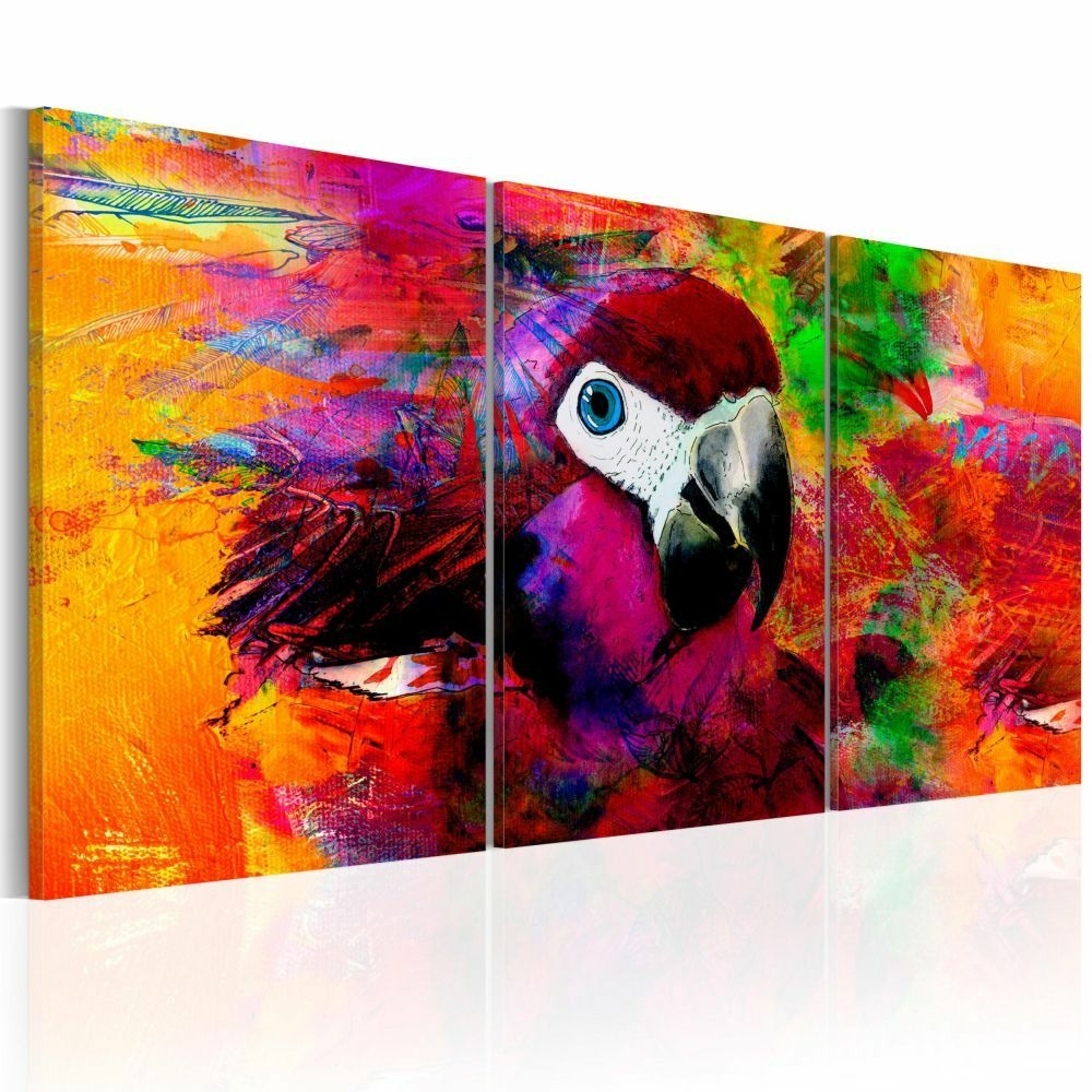 Tableau - jungle of colours 60x30 cm