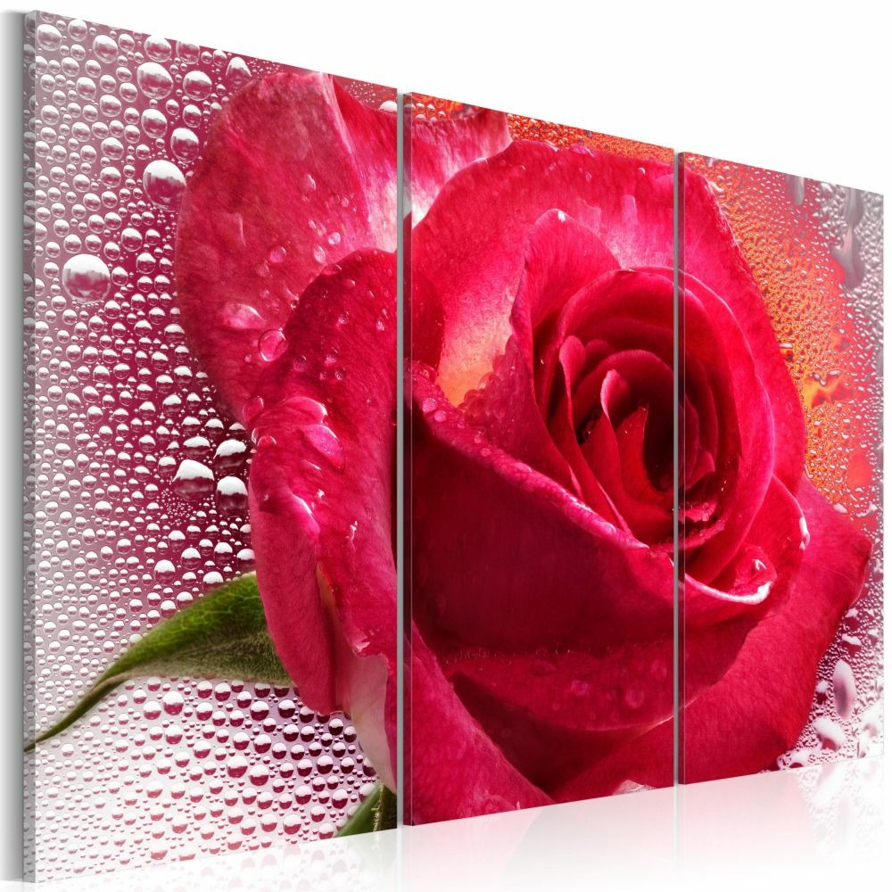 Tableau - lady rose - triptych 90x60 cm