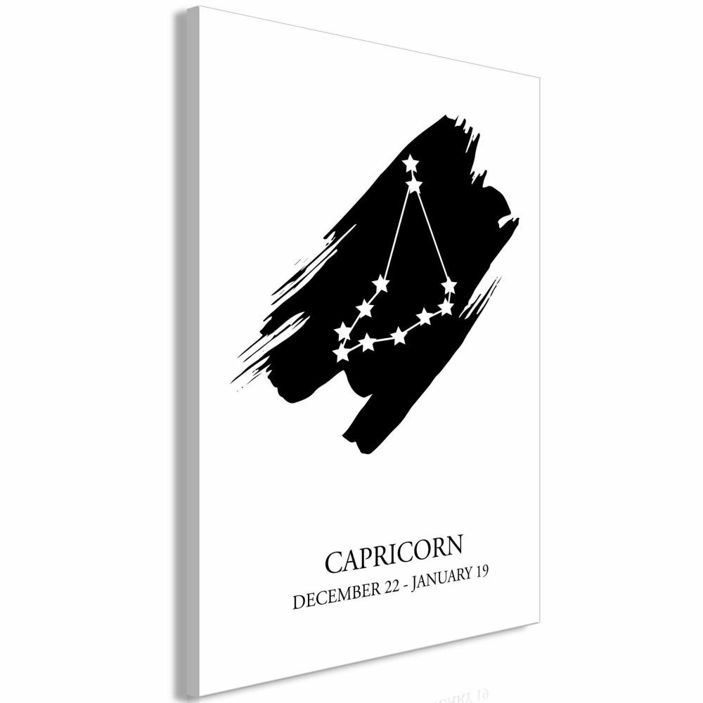 Tableau - zodiac signs: capricorn (1 part) vertical 60x90 cm