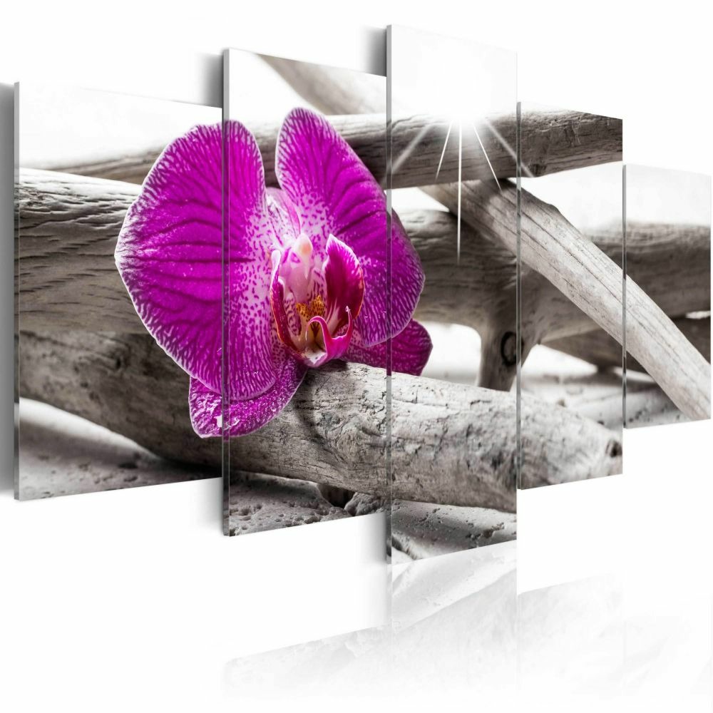 Tableau - orchid on beach 200x100 cm