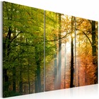 Tableau - forêt d'automne 90x60 cm