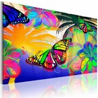 Tableau - papillons exotiques 90x60 cm