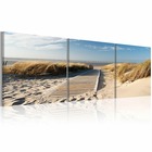 Tableau - beach (triptych) cm