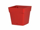 Pot polypropylène 13642 r.ru l.24.8 x l.24.8 x h.24 cm rouge rubis