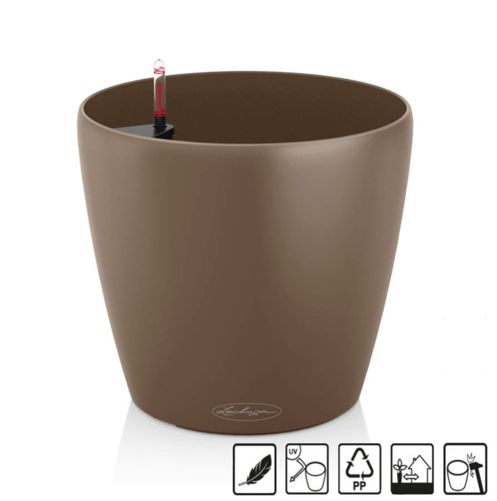 Classico color 18 - 18x17 cm - kit complet, muscade