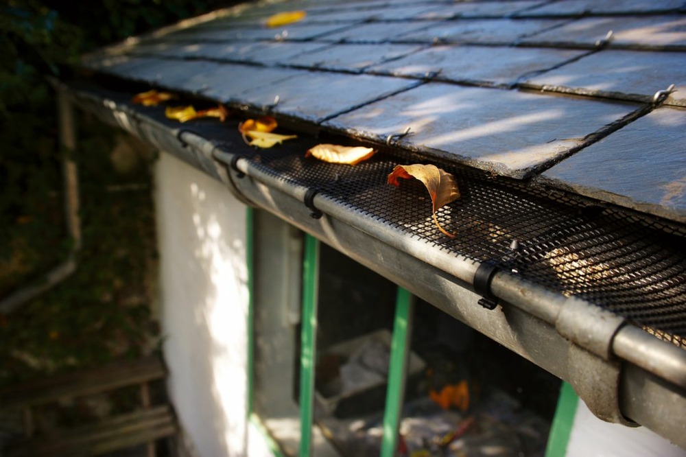 Grillage de protection pour gouttière 