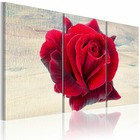 Tableau - lyrical rose 90x60 cm