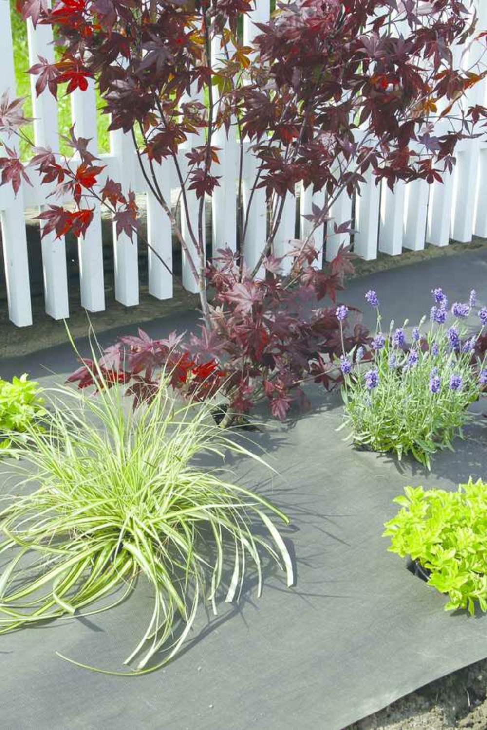 Feutre en matière plastique végétale pla