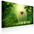 Tableau - magical rose 60x40 cm