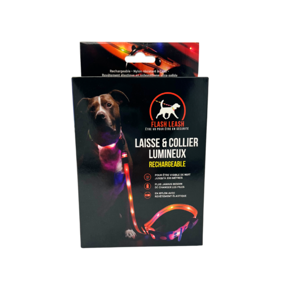 Laisse et collier lumineux pour chien - led rechargeable usb