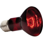 Lampe infrarouge baskin spot - 50 w - pour terrarium