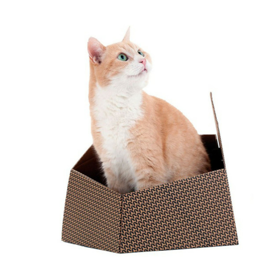 Jouet pour chats  kitty marron caisse carton (30 x 30 x 32 cm)