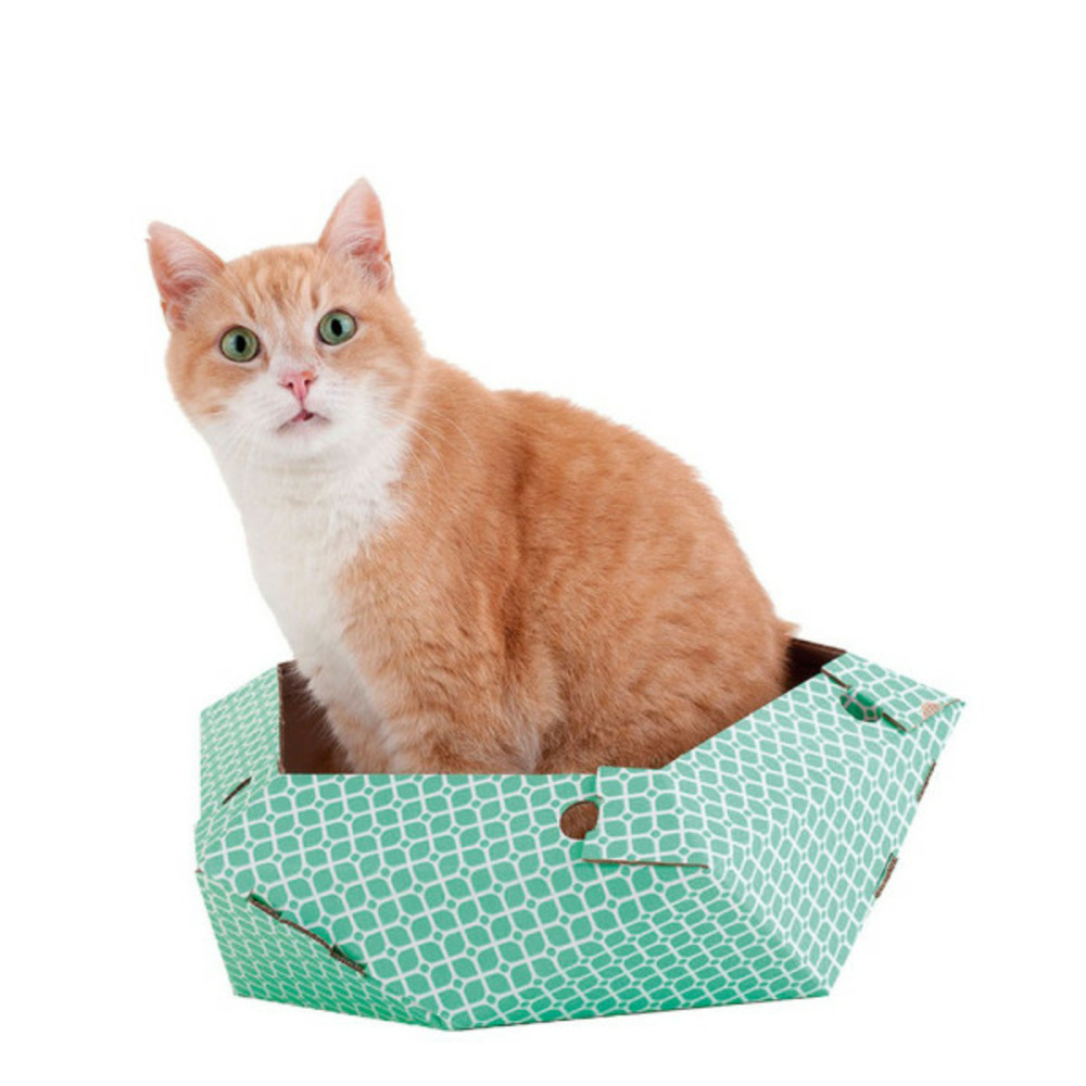 Jouet pour chats  oliver vert caisse carton (45 x 45 x 25 cm)