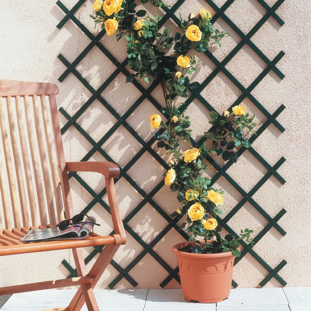 Treillis extensible en plastique 