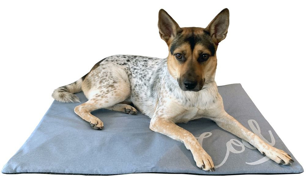 Tapis rafraichissant pour petits chiens