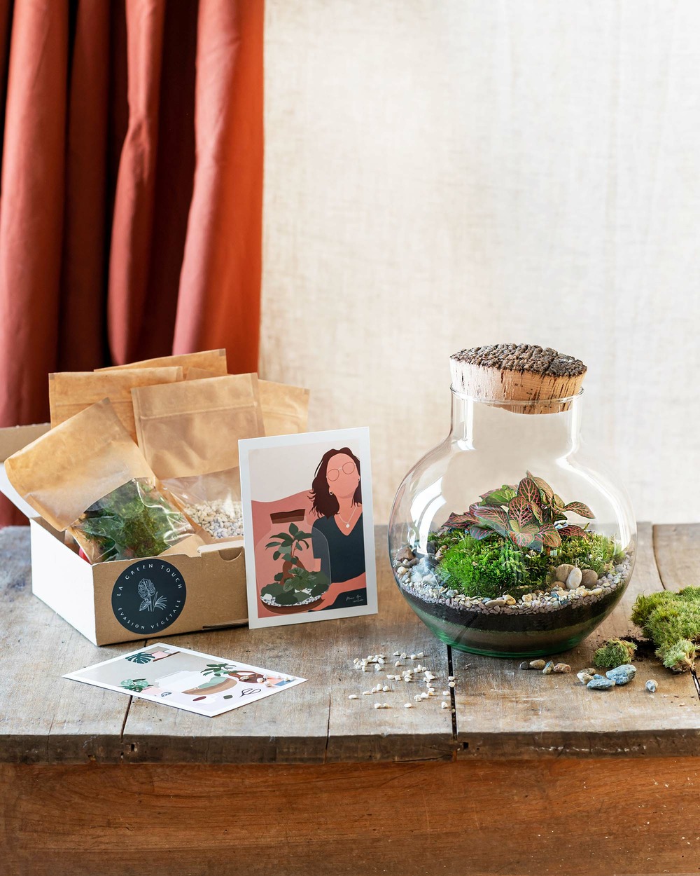 Terrarium en kit noumea Truffaut