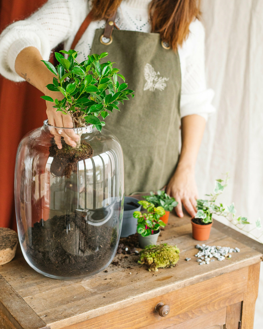 Terrarium en kit alma Truffaut