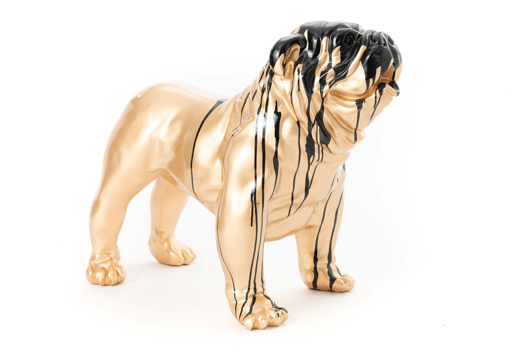 Bulldog doré trash noir m