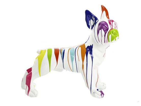 Bulldog français trash blanc taille m