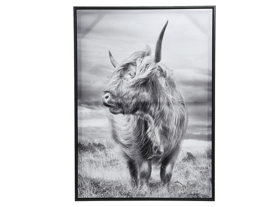 Tableau satiné taureau