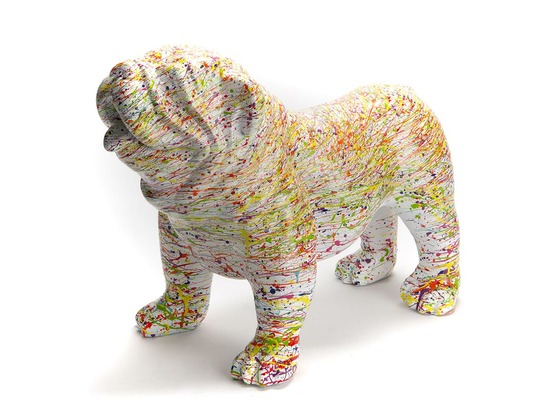 Bulldog usa splash blanc