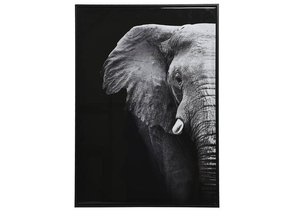 Tableau satiné éléphant