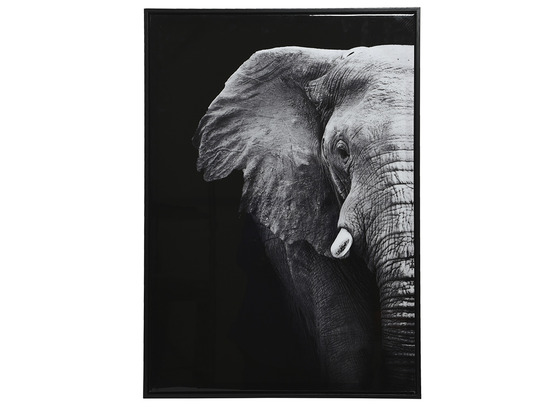 Tableau satiné éléphant