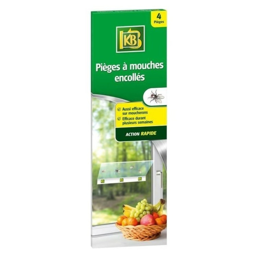 4 pièges à mouches encollés