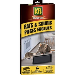 Home défense - piège à glu pour rats et souris
