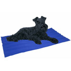 Tapis pour chien  bleu gel réfrigérant (90 x 105 cm)
