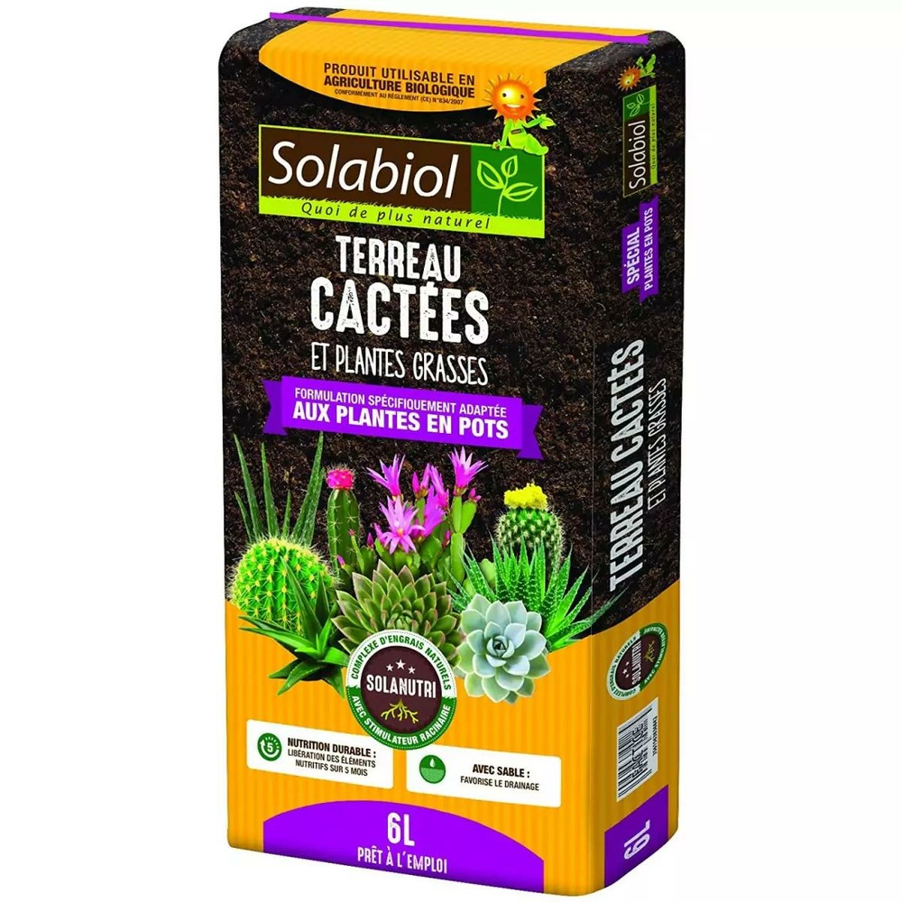 Terreau cactées et plantes grasses 6l solabiol Truffaut
