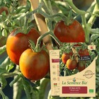 Tomate prune noire bio