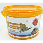 Gammarus seau 3 litres aliment naturel pour tortue d'eau