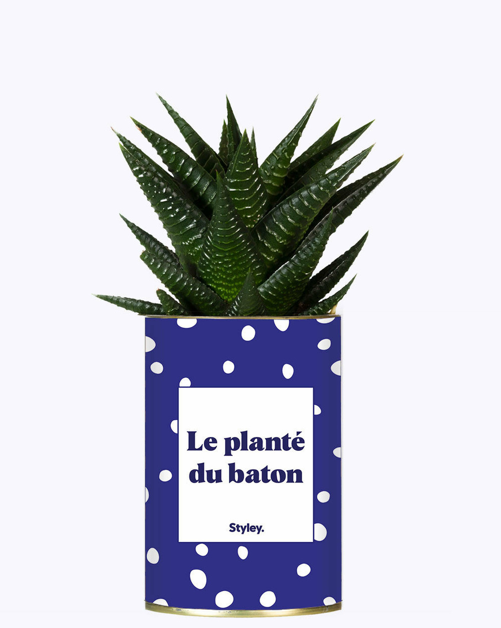 Plante personnalisée - le planté du baton - cactus