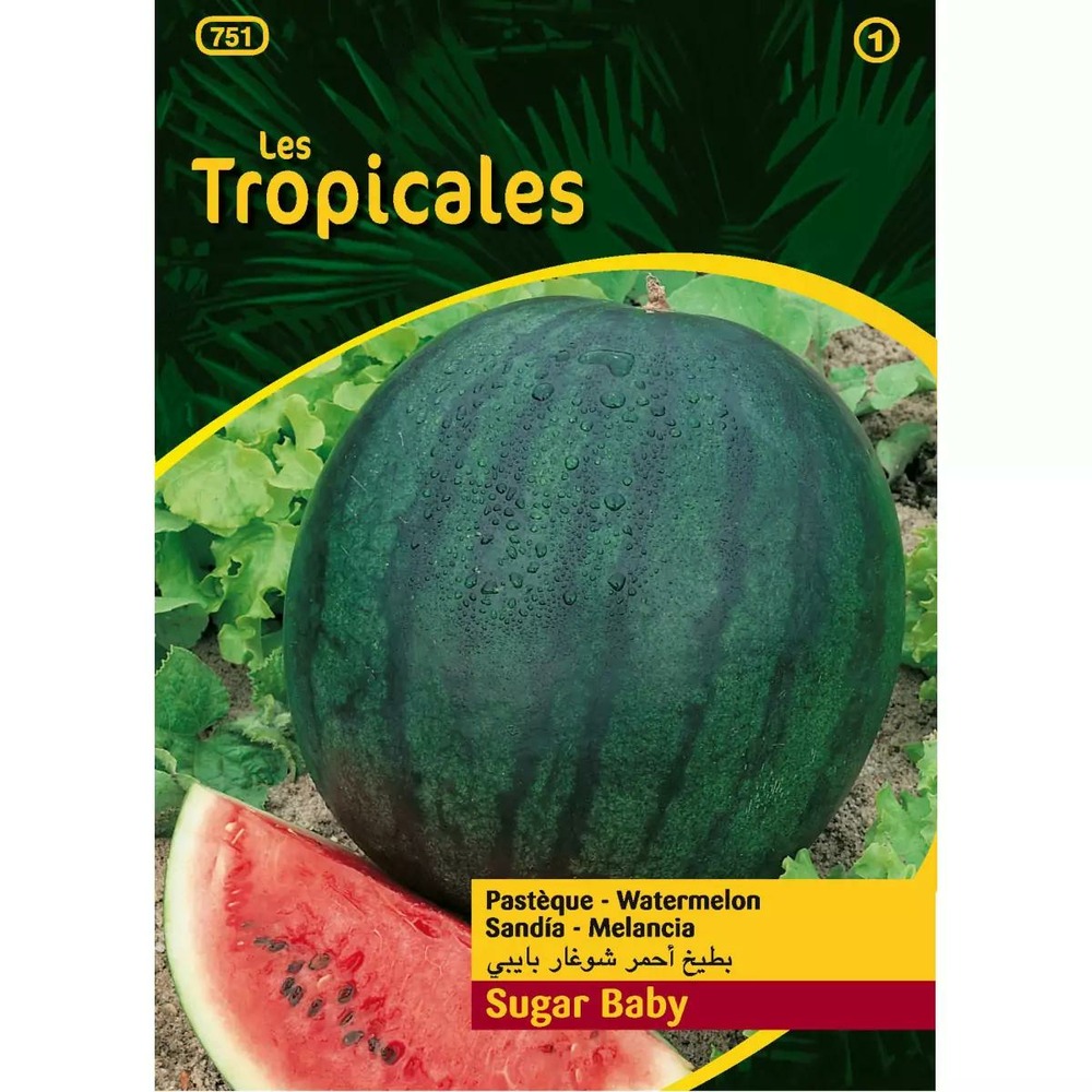 Sachet graines les tropicales - pastèque sugar baby