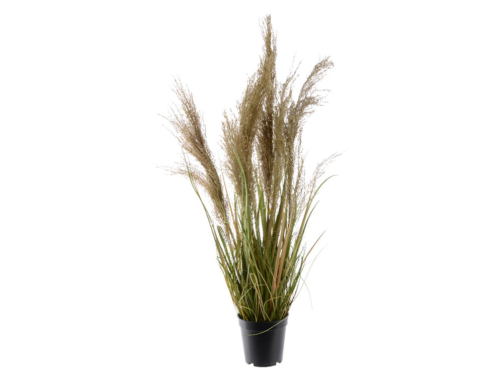 Tiges d'herbe artificielles avec plumes blanches 115 cm